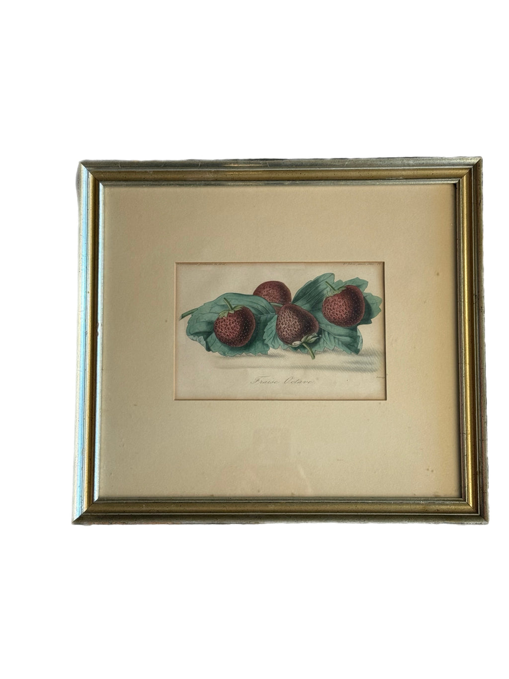 1860 French Botanical Lithograph ‘Fraise Octave’ – Hand Colored Strawberry Plate Framed