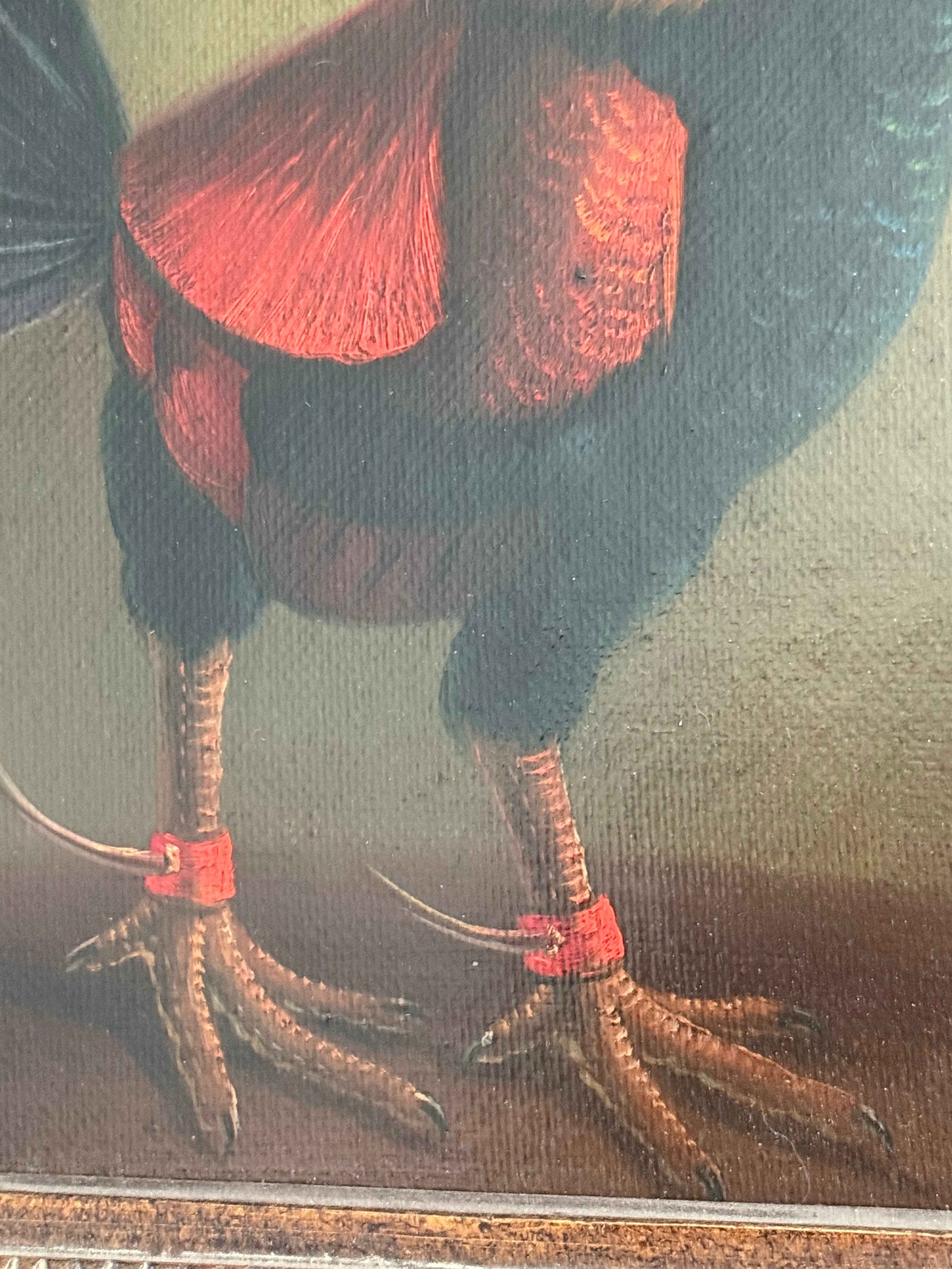 Mid 20th Century Old Master–Style Rooster Portrait Oil Painting, Ornately Framed, Signed Evans