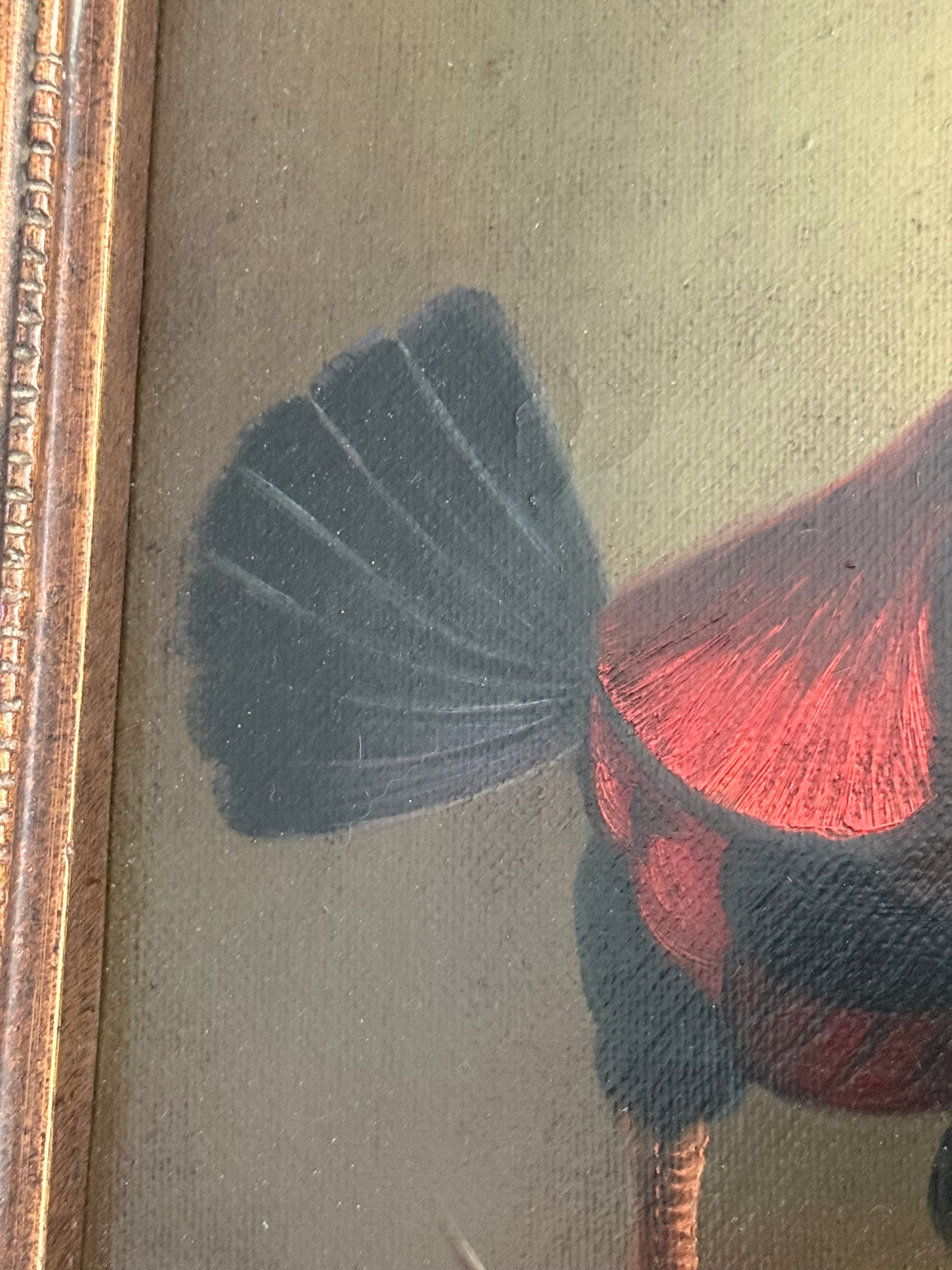 Mid 20th Century Old Master–Style Rooster Portrait Oil Painting, Ornately Framed, Signed Evans