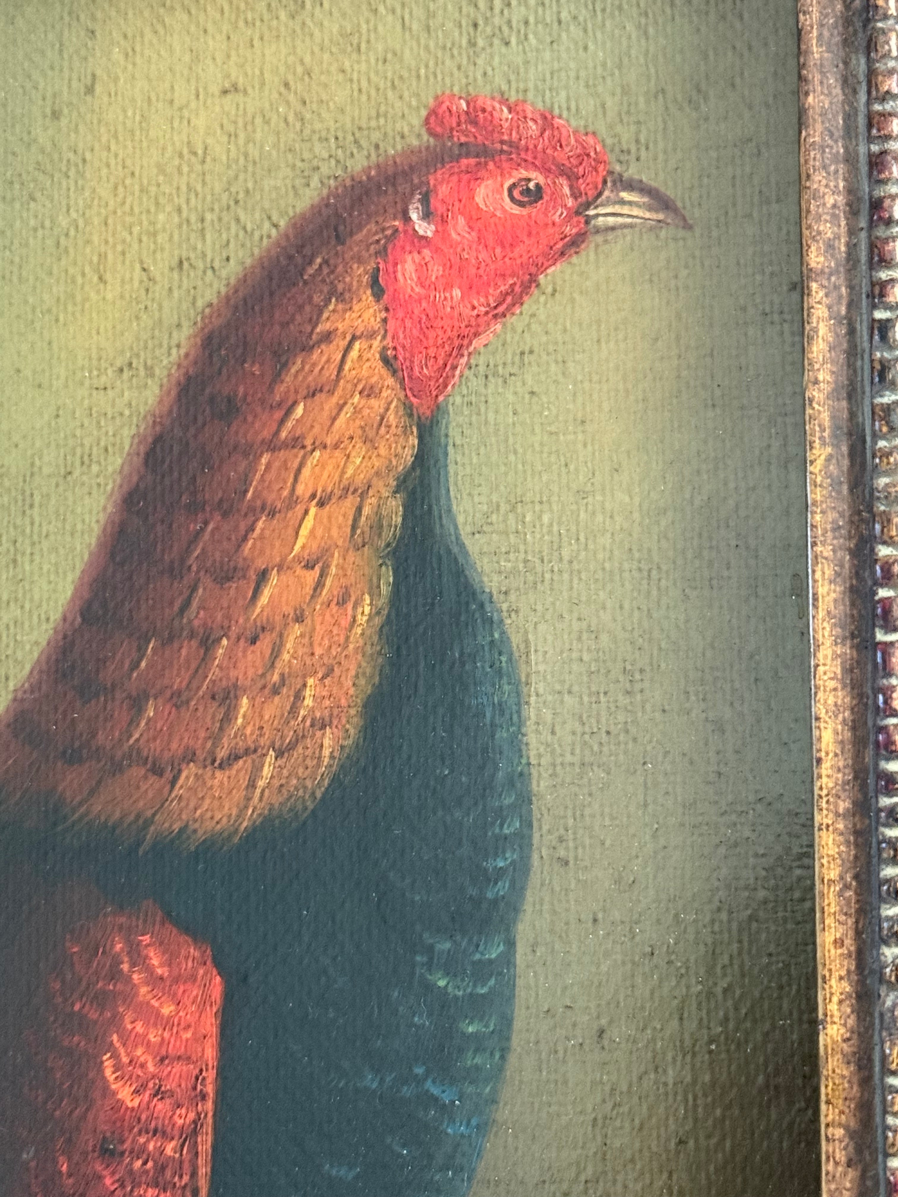 Mid 20th Century Old Master–Style Rooster Portrait Oil Painting, Ornately Framed, Signed Evans