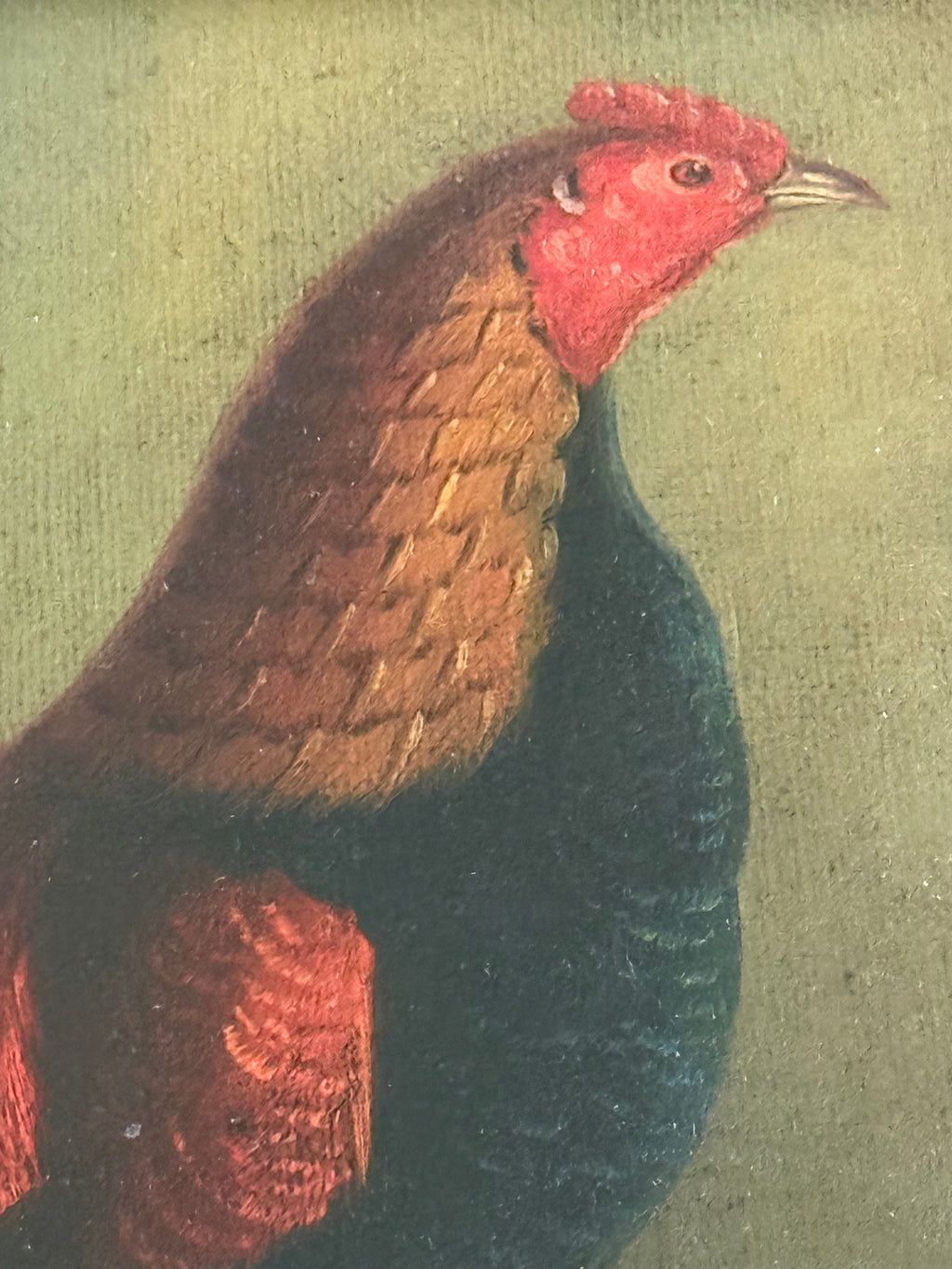 Mid 20th Century Old Master–Style Rooster Portrait Oil Painting, Ornately Framed, Signed Evans