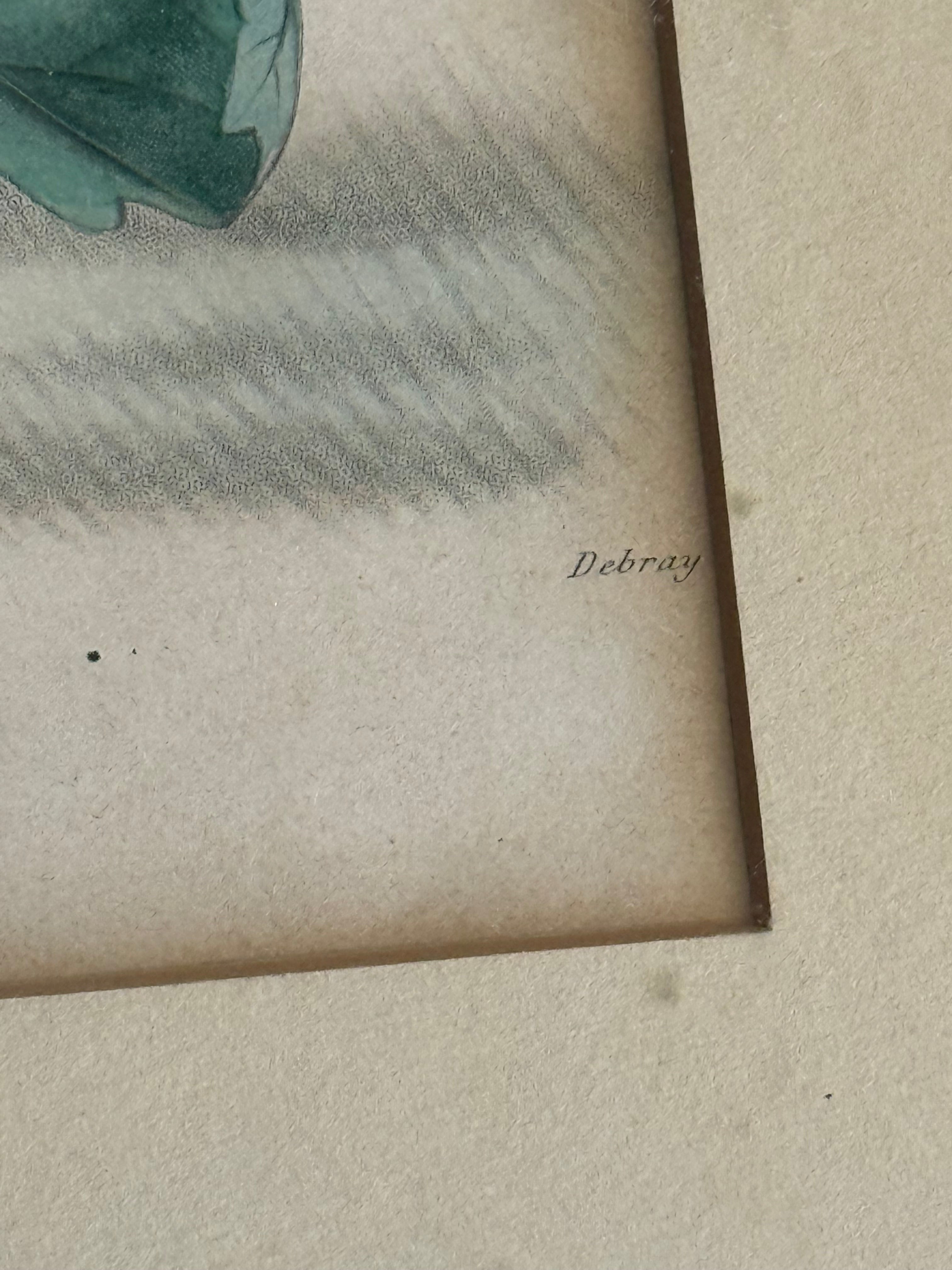 1860 French Botanical Lithograph ‘Fraise Octave’ – Hand Colored Strawberry Plate Framed